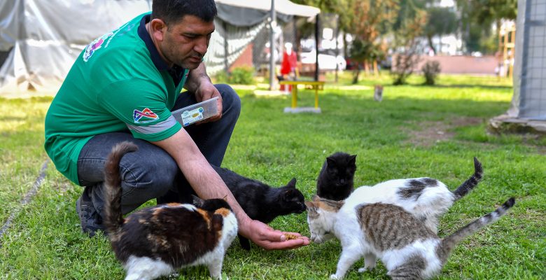 MERSİN BÜYÜKŞEHİR ‘HER CANLININ BELEDİYESİ’ OLMAYA DEVAM EDİYOR