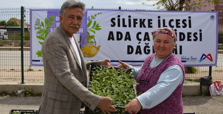 SİLİFKELİ ÜRETİCİLER YENİDEN ADA ÇAYI FİDESİ İLE BULUŞTU