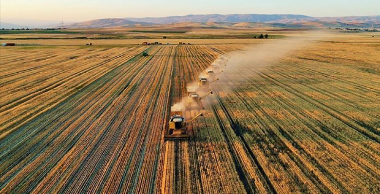 TARIM SEKTÖRÜNDEN İHRACATTA OCAK-NİSAN REKORU