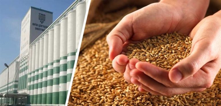 TOPRAK MAHSULLERİ OFİSİ, HUBUBAT ALIMINI 530 NOKTADAN YAPACAK