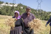 BÜYÜKŞEHİR, TOPRAĞA BEREKET KATMAYA DEVAM EDİYOR