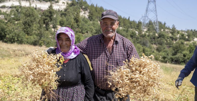 BÜYÜKŞEHİR, TOPRAĞA BEREKET KATMAYA DEVAM EDİYOR