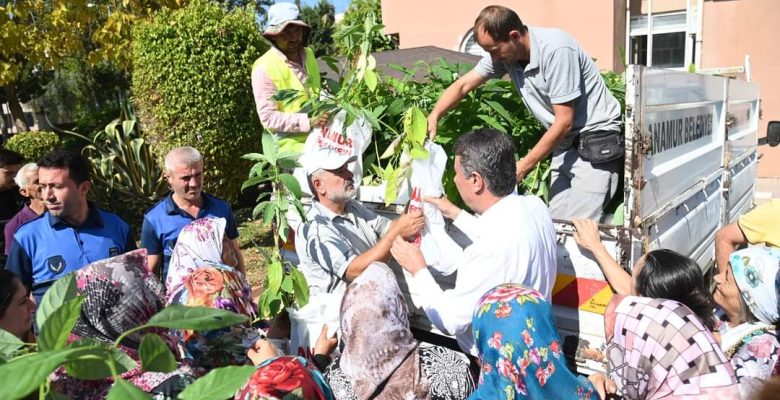 ANAMUR BELEDİYESİ KADIN ÇİFTÇİLERE ÜCRETSİZ AVOKADO FİDANI DAĞITTI