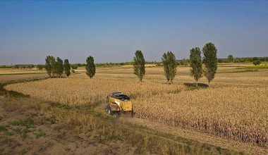 BAKAN YUMAKLI’DAN DESTEK MÜJDESİ: 630 MİLYON LİRA HESAPLARA AKTARILIYOR