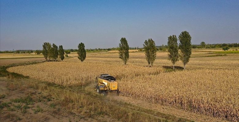 BAKAN YUMAKLI’DAN DESTEK MÜJDESİ: 630 MİLYON LİRA HESAPLARA AKTARILIYOR