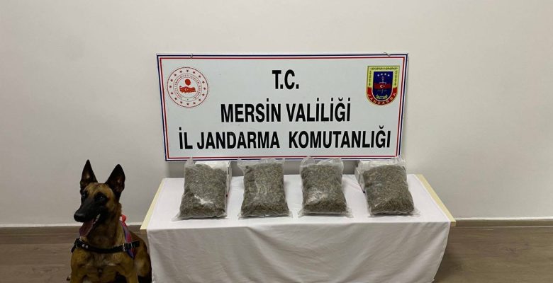 JANDARMADAN UYUŞTURUCU MADDE OPERASYONU: 4 ŞÜPHELİ YAKALANDI