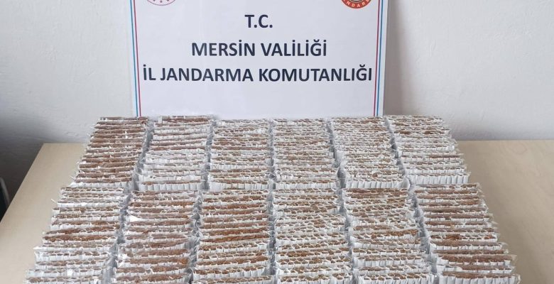 JANDARMA’DAN KAÇAK MAKARON OPERASYONU