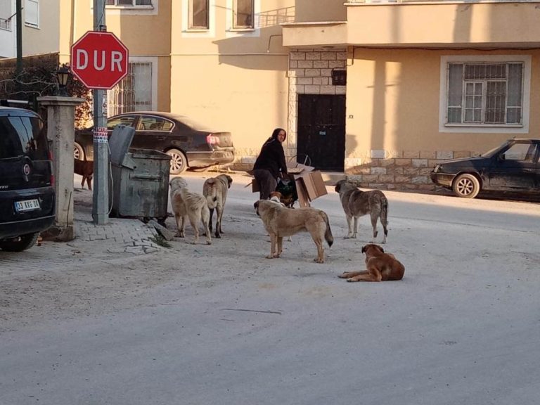 BAŞKAN ORHAN MUT’A HAYVAN BARINAĞI YAPACAKLARINI DUYURDU