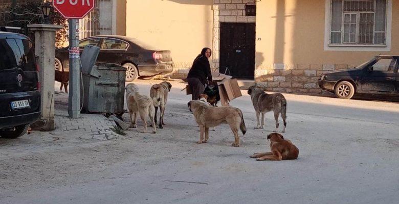 BAŞKAN ORHAN MUT’A HAYVAN BARINAĞI YAPACAKLARINI DUYURDU