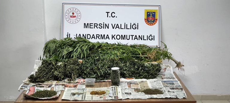 JANDARMADAN UYUŞTURUCU MADDE OPERASYONU: 2 GÖZALTI