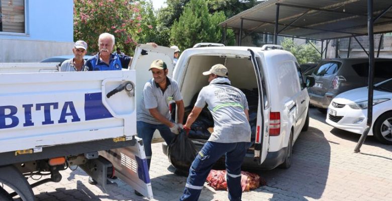 ADANA’DA 1.5 TON AT VE EŞEK ETİ YAKALANDI: ŞAHIS ‘AKRABALARIMA DAĞITACAKTIM’ SAVUNMASI YAPTI