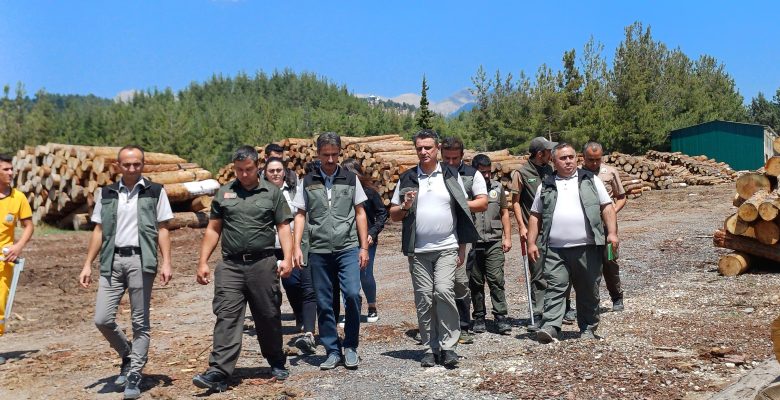 MERSİN ORMAN BÖLGE MÜDÜRÜ RİFAT ATAŞ ÇAMLIYAYLA’DA İNCELEMELERDE BULUNDU