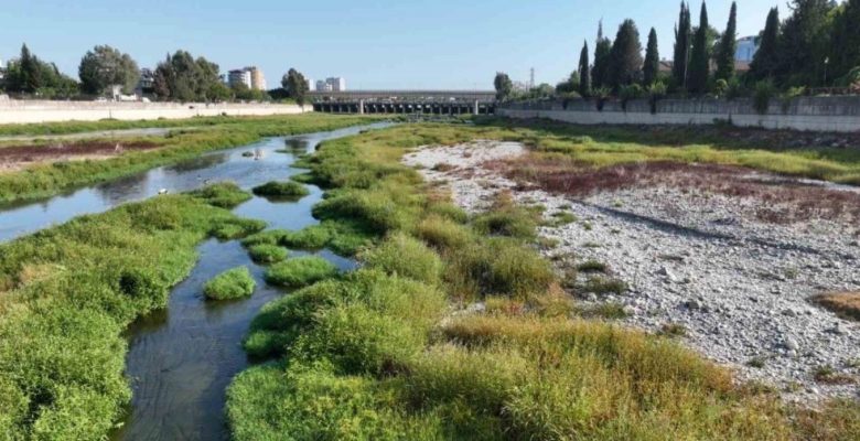 DSİ 6. ADANA BÖLGE MÜDÜRLÜĞÜNDEN BAŞKAN KARALAR’A YANIT: SEYHAN NEHRİ’NDE TEMİZLİK ÇALIŞMALARI BAŞLADI