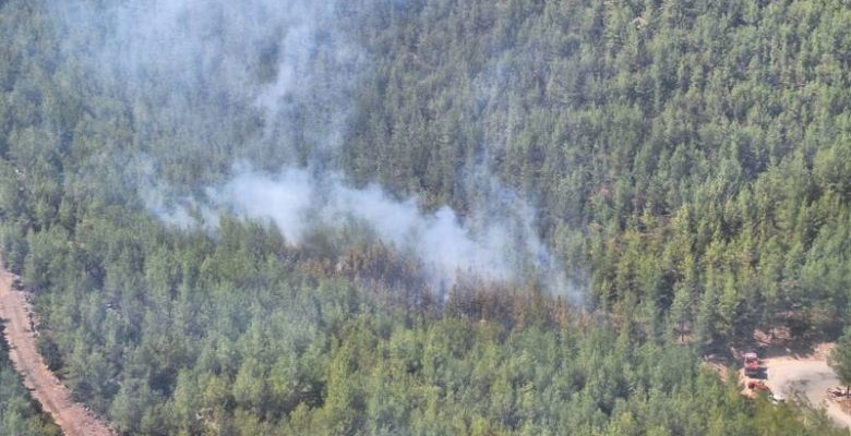 MERSİN ORMAN BÖLGE MÜDÜRLÜĞÜ SİLİFKE’DEKİ ORMAN YANGININA ANINDA MÜDAHALE ETTİ