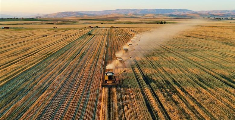 TARIMSAL DESTEKLEME ÖDEMELERİ BUGÜN HESAPLARA AKTARILIYOR