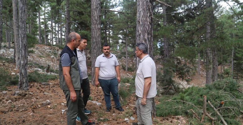 MERSİN ORMAN BÖLGE MÜDÜRÜ RİFAT ATAŞ TARSUS’TA