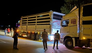 MERSİN ORMAN BÖLGE MÜDÜRLÜĞÜNÜN DENETİMLERİ ARALIKSIZ SÜRÜYOR