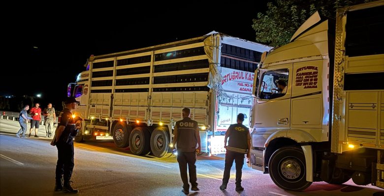 MERSİN ORMAN BÖLGE MÜDÜRLÜĞÜNÜN DENETİMLERİ ARALIKSIZ SÜRÜYOR