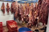 ADANA’DA 3 TON BOZULMUŞ AT ETİ ELE GEÇİRİLDİ!
