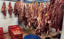 ADANA’DA 3 TON BOZULMUŞ AT ETİ ELE GEÇİRİLDİ!