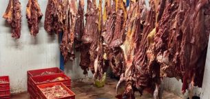 ADANA’DA 3 TON BOZULMUŞ AT ETİ ELE GEÇİRİLDİ!