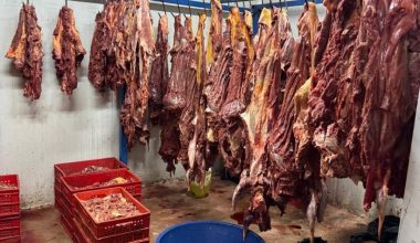 ADANA’DA 3 TON BOZULMUŞ AT ETİ ELE GEÇİRİLDİ!