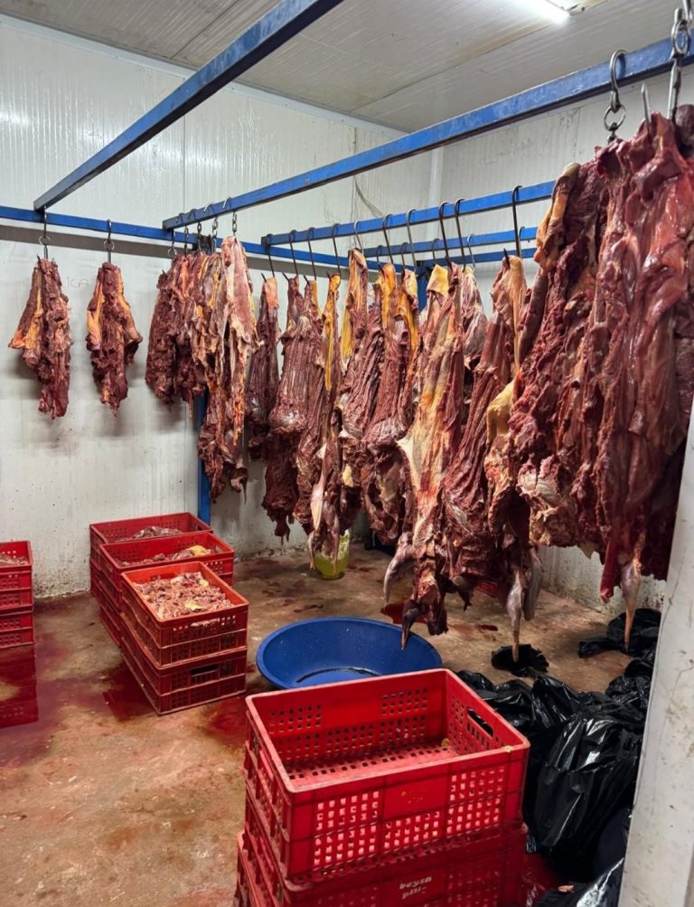 ADANA’DA 3 TON BOZULMUŞ AT ETİ ELE GEÇİRİLDİ!