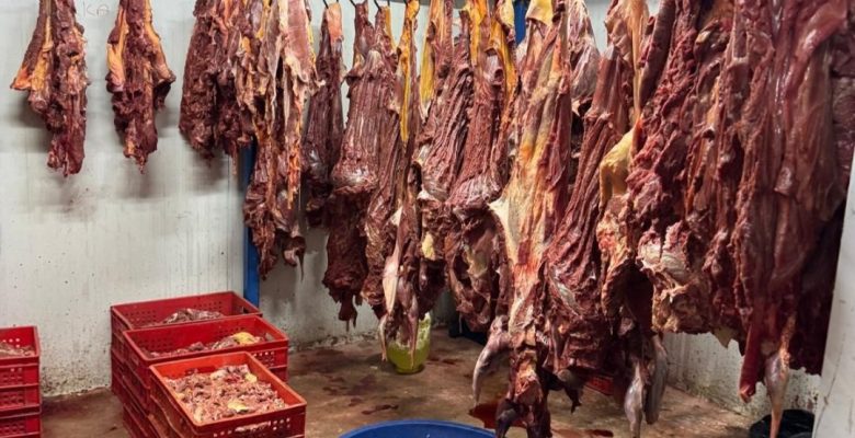 ADANA’DA 3 TON BOZULMUŞ AT ETİ ELE GEÇİRİLDİ!