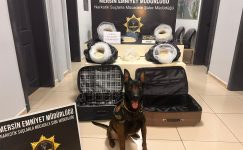 58 KİLO 310 GRAM CAPTAGON ELE GEÇİRİLDİ