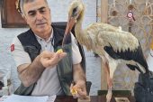 YANGINDAN KAÇAN YARALI LEYLEK, ANAMUR’DA KORUMA ALTINA ALINDI