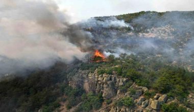 TÜRKİYE’DE YANGIN BÖLGESİNDE 87 AĞIR HASARLI BİNA TESPİT EDİLDİ