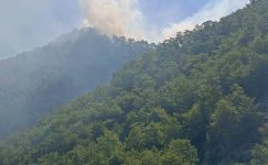 ANAMUR’DAKİ ORMAN YANGINI KONTROL ALTINA ALINDI