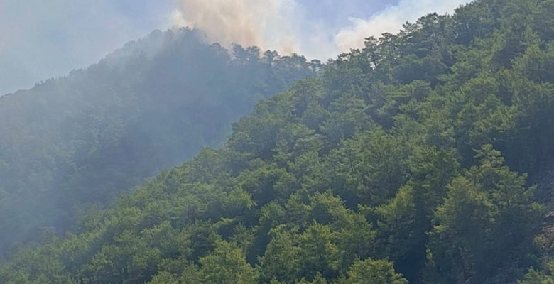 ANAMUR’DAKİ ORMAN YANGINI KONTROL ALTINA ALINDI