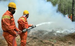 ORMAN YANGINLARINDA HAYATINI KAYBEDEN GÖNÜLLÜLERİN YAKINLARINA MAAŞ BAĞLANACAK