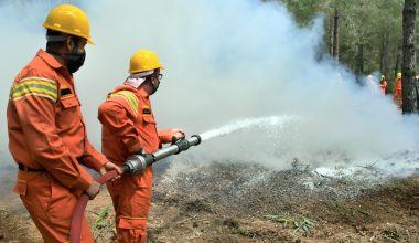 ORMAN YANGINLARINDA HAYATINI KAYBEDEN GÖNÜLLÜLERİN YAKINLARINA MAAŞ BAĞLANACAK