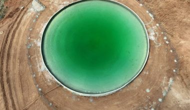 GÜLNAR’A DEV YATIRIM