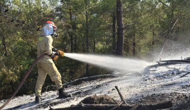 ADANA’NIN FEKE İLÇESİNDE ÇIKAN ORMAN YANGINI KONTROL ALTINA ALINDI