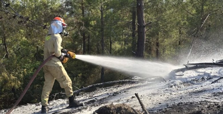 ADANA’NIN FEKE İLÇESİNDE ÇIKAN ORMAN YANGINI KONTROL ALTINA ALINDI
