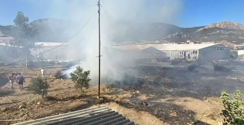 BOZYAZI’DA ELEKTRİK TELİ KOPTU, SERADA YANGINA NEDEN OLDU