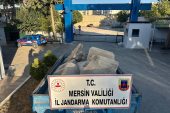 MERSİN JANDARMASINDAN DEV OPERASYON