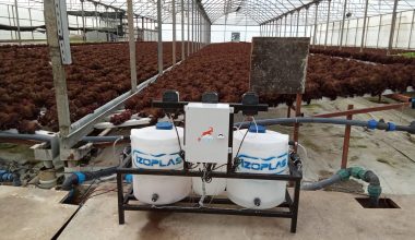 MERSİNLİ KARDEŞLER, UZAKTAN KONTROL EDİLEBİLEN TOPRAKSIZ TARIM SİSTEMİ GELİŞTİRDİ