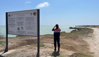 MERSİN JANDARMASINDAN DOĞAYA VE ÇEVREYE KORUMA DEVRİYESİ