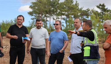 GÜLNAR’DA ÜRETKEN BELEDİYECİLİK: SOKAK HAYVANLARI İÇİN BARINAK ÇALIŞMALARI BAŞLADI