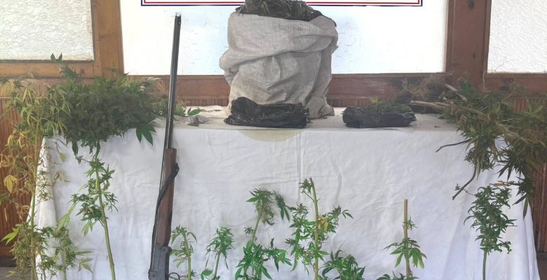 JANDARMADAN UYUŞTURUCU MADDE OPERASYONU JANDARMADAN UYUŞTURUCU MADDE OPERASYONU