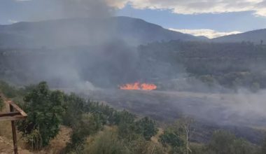 MUT İLÇESİNDEKİ ORMAN YANGINI KONTROL ALTINA ALINDI
