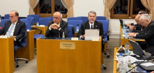 MHP MERSİN MİLLETVEKİLİ UYSAL: MUZ İTHALATINA KISITLAMA, NARENCİYEYE İHRACAT DESTEĞİ İSTİYORUZ