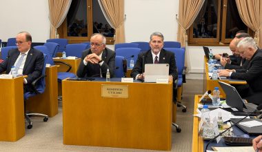 MHP MERSİN MİLLETVEKİLİ UYSAL: MUZ İTHALATINA KISITLAMA, NARENCİYEYE İHRACAT DESTEĞİ İSTİYORUZ