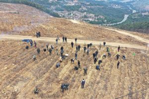 2025 ULUSLARARASI KOOPERATİFLER YILI ANISINA HATIRA ORMANI