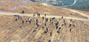 2025 ULUSLARARASI KOOPERATİFLER YILI ANISINA HATIRA ORMANI