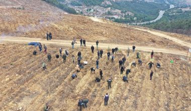 2025 ULUSLARARASI KOOPERATİFLER YILI ANISINA HATIRA ORMANI